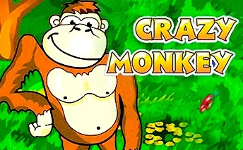 CrazyMonkey